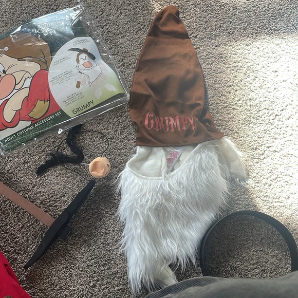 Grumpy Costume - Picture 3 of 5